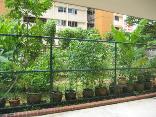 Ang Mo Kio Avenue 10 thumbnail photo